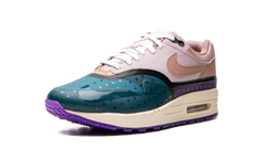 AIR MAX 1 () WMNS "Plum Fog Fossil Rose" DV2301 501