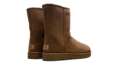 Classic Short II Boot WMNS "Chestnut" 1016223 CHE