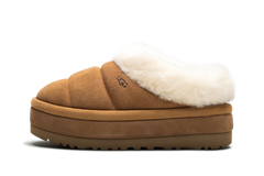 TAZZLITA WMNS "Chestnut" 1146390 CHE