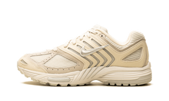 Air Pegasus 2005 SE "Platinum/Metallic Platinum" IB2983 001