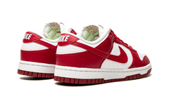 DUNK LOW NEXT NATURE WMNS "University Red" DN1431 101