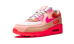 AIR MAX 90 PRM WMNS "Platinum Crimson/Bright Purple" CT3449 600