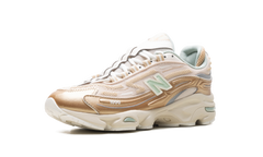 1000 "Desert Clay" M1000DG