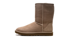 Classics Short Ii WMNS "Sand" 1016223 SAN