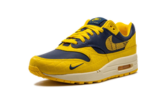 AIR MAX 1 PRM MNS WMNS "Co.jp Head to Head" FJ5479 410