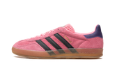 Gazelle Indoor "Bliss Pink Purple" IE7002