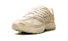 Air Pegasus 2005 SE "Platinum/Metallic Platinum" IB2983 001