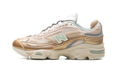 1000 "Desert Clay" M1000DG