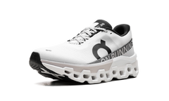 Cloudmonster 2 "White Frost" 3ME10120664