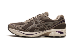 GT 2160 "Dark Taupe Purple" 1203A320 251