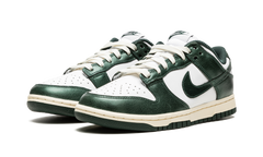 DUNK LOW WMNS "Vintage Green" DQ8580 100