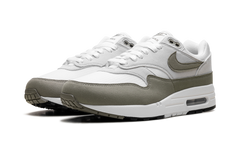 Air Max 1 WMNS "Green" DZ2628 112