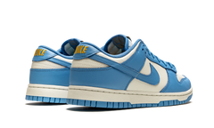 DUNK LOW WMNS "Coast" DD1503 100