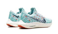 Pegasus Turbo Next Nature Wmns "Jade Ice" DM3414 300