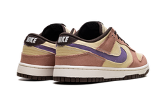 Dunk Low "Denim / Dusted Clay" HF3141 200