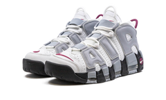 AIR MORE UPTEMPO WMNS "Rosewood" DV1137 100