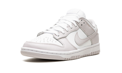 DUNK LO MNS WMNS "Venice" DD1503 116