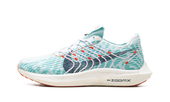 Pegasus Turbo Next Nature Wmns "Jade Ice" DM3414 300