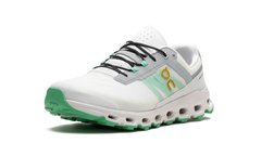 Cloudvista CN "Frost Parakeet" 3MD10621542