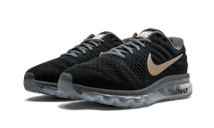 AIR MAX 2017 MNS WMNS "Bronze" 849560 008