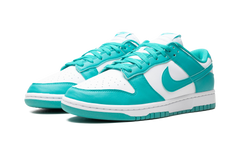 Dunk Low Next Nature WMNS "Dusty Cactus" DD1873 105