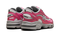 1000 "Dragon Berry" M1000MSG