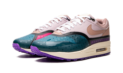AIR MAX 1 () WMNS "Plum Fog Fossil Rose" DV2301 501