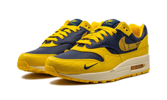 AIR MAX 1 PRM MNS WMNS "Co.jp Head to Head" FJ5479 410